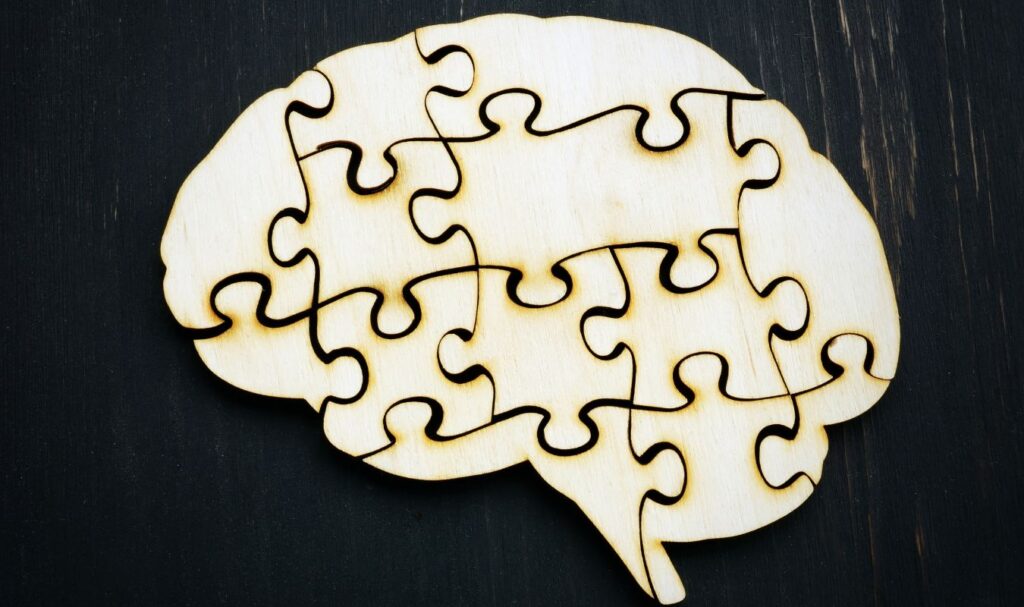 an image showing the difference that occurs in the brain of people who practice minfulness